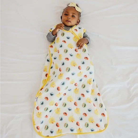 Copper Pearl Sesame Street Cloud Sleep bag 12-18M - Picture 3 of 4